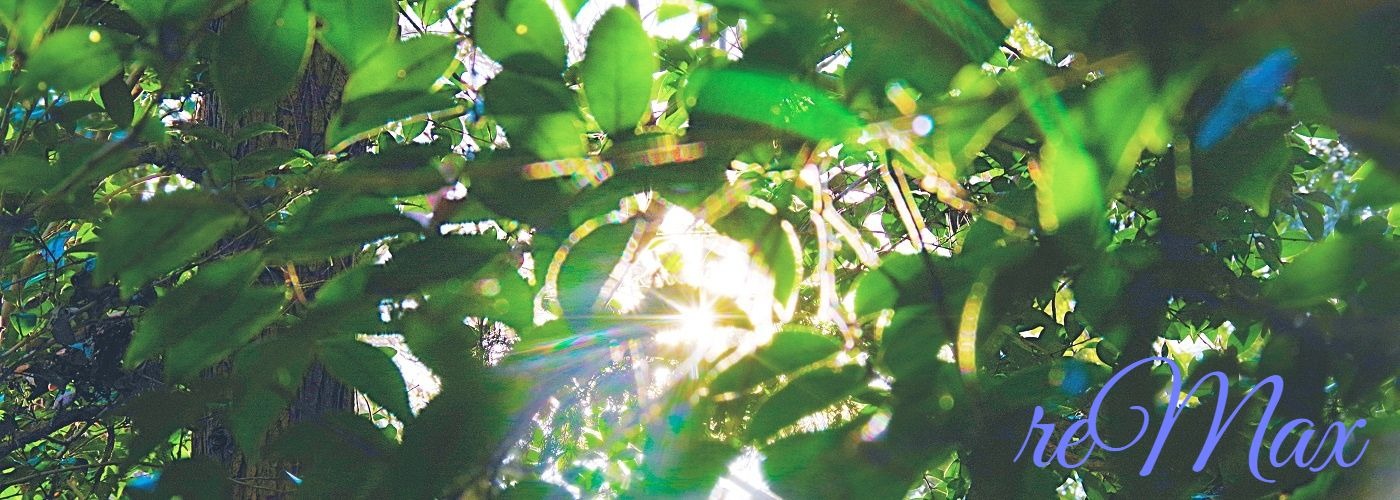 既存の不動産に最大の価値を創造します